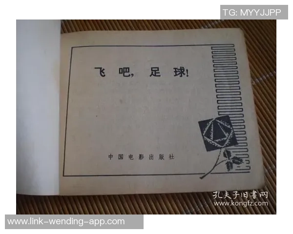 飞吧足球：追逐梦想的青春旅程与团队精神的感人故事